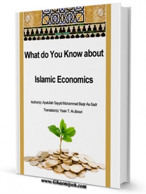 What do You Know about Islamic Economics